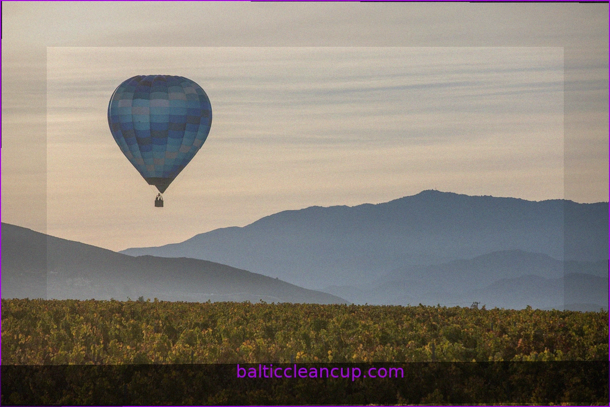 Temecula Valley: A California Wine Region Evoking European Charm